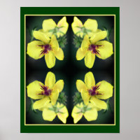 Delikatesse Gelbe Wildblume Abstrakte Kunst