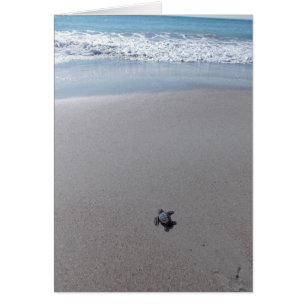 Délivrance d'imbécile