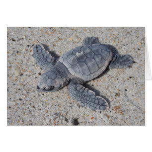 Délivrance II d'imbécile