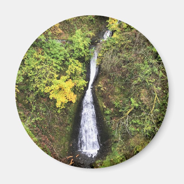 Dell Falls, Columbia River Gorge, OR Magnet (Vorne)