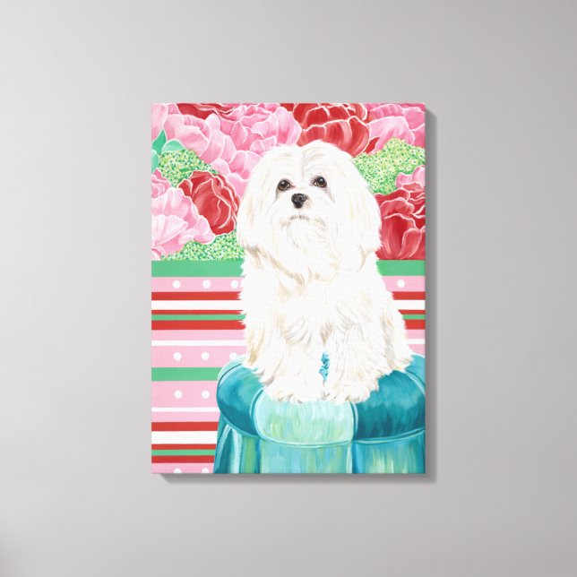 Della Rose Maltese Leinwanddruck (Vorderseite)