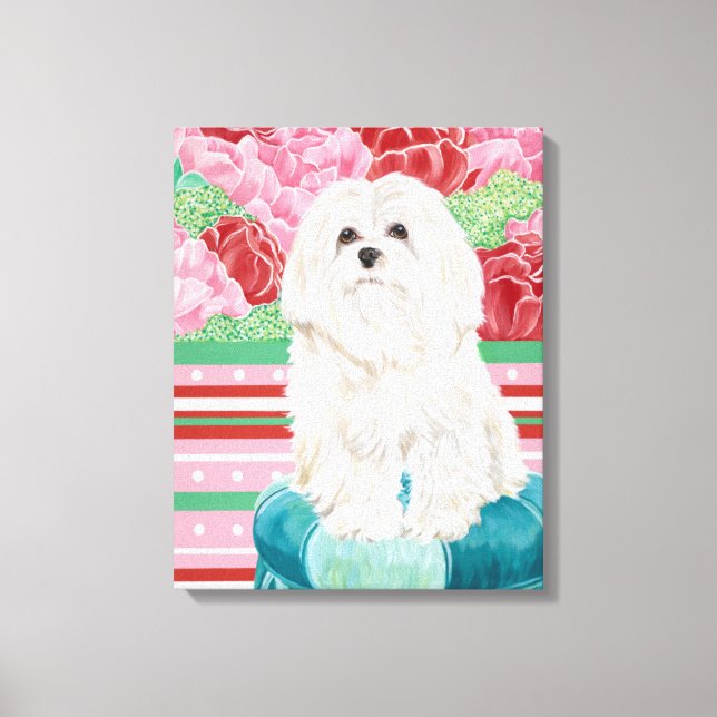Della Rose Maltese Leinwanddruck (Vorderseite)