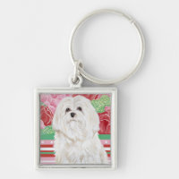 Della Rose Maltese