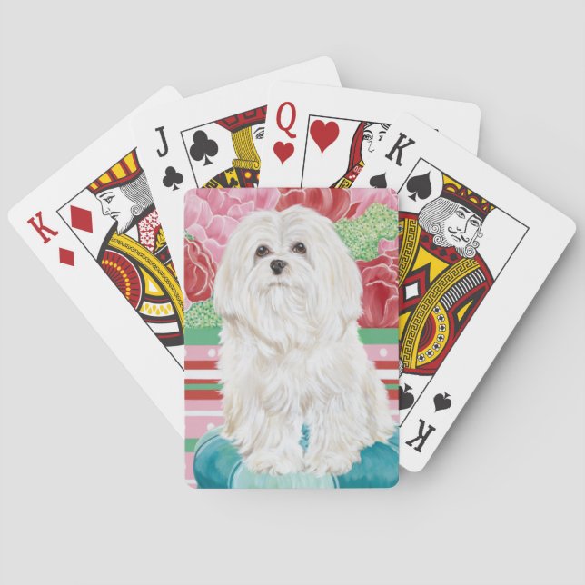 Della Rose Maltese Spielkarten (Rückseite)