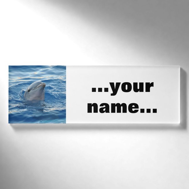 Delphin20151021 Namenschild (Vorderseite)