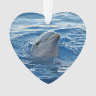 Delphin20151021 Ornament