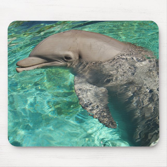 Delphin 2 mousepad (Vorne)