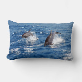Delphin-Abenteuer Lendenkissen