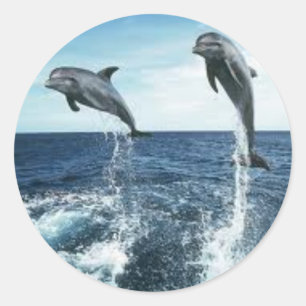 DELPHIN-AUFKLEBER RUNDER AUFKLEBER