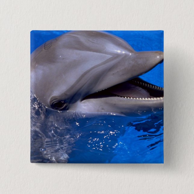 Delphin Button (Vorderseite)