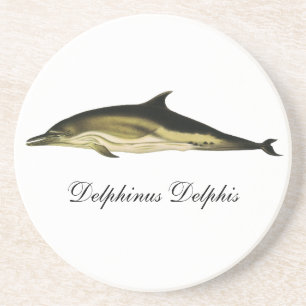 Delphin Delphinus Delphis, Vintage Meereslebewesen Sandstein Untersetzer