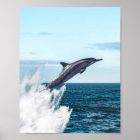 Delphin, die aus dem Ozean springen