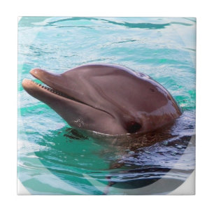 Delphin-Entwurfs-Fliese Fliese
