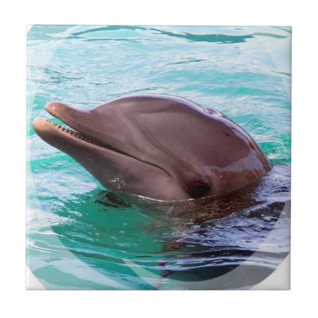 Delphin-Entwurfs-Fliese Fliese (Vorderseite)