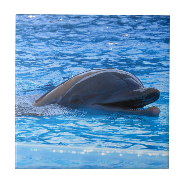 Delphin Fliese (Vorderseite)