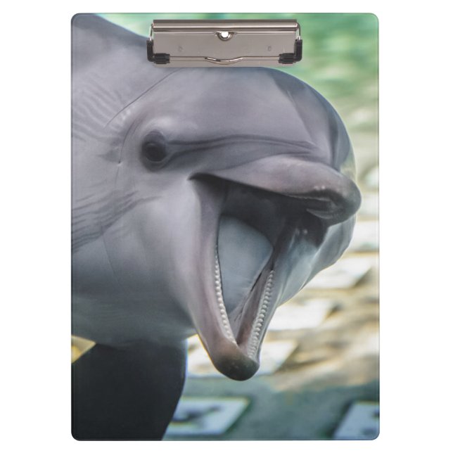 Delphin Getty Bild-| Klemmbrett (Vorderseite)