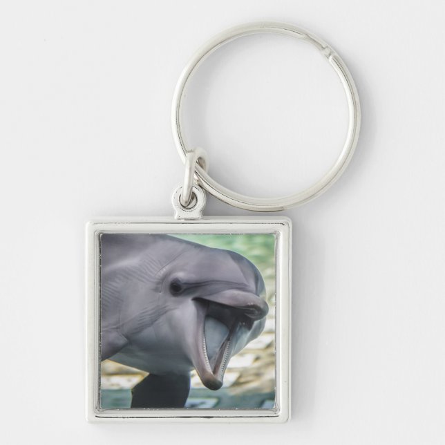 Delphin Getty Bild-| Schlüsselanhänger (Vorne)