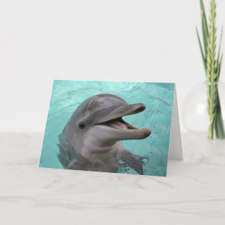 Delphin-Gruß-Karte Karte