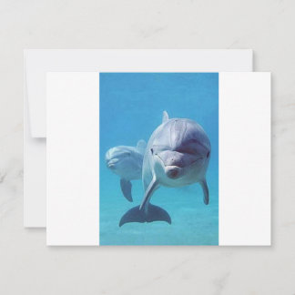 Delphin II