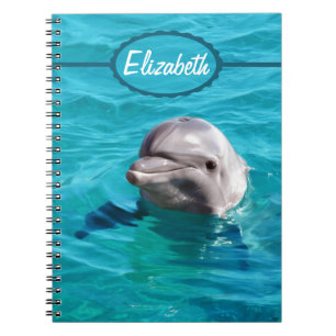 Delphin im blaues Wasser-Foto Notizblock