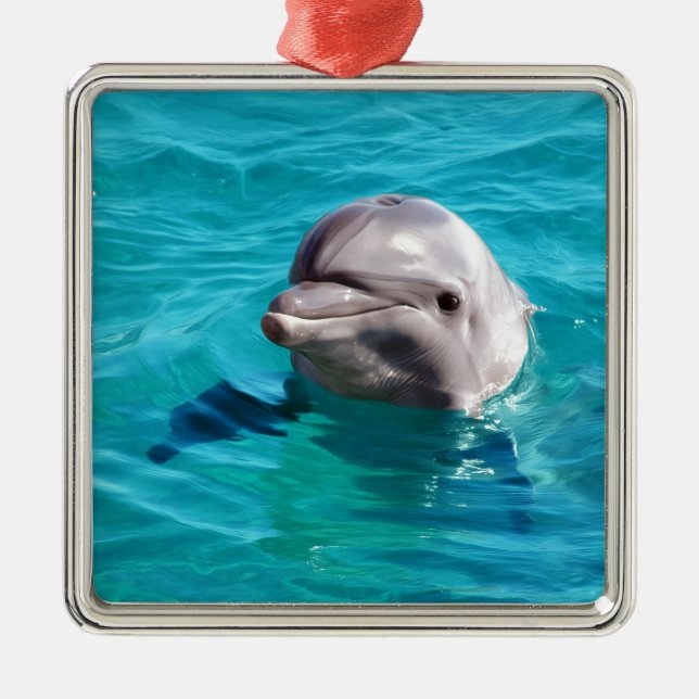 Delphin im blaues Wasser-Foto Silbernes Ornament (Vorne)