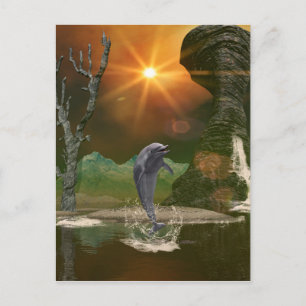 Delphin im schönen Sonnenuntergang spielen Postkarte