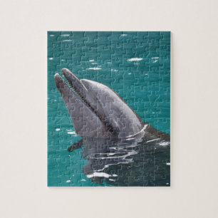 Delphin in Grün
