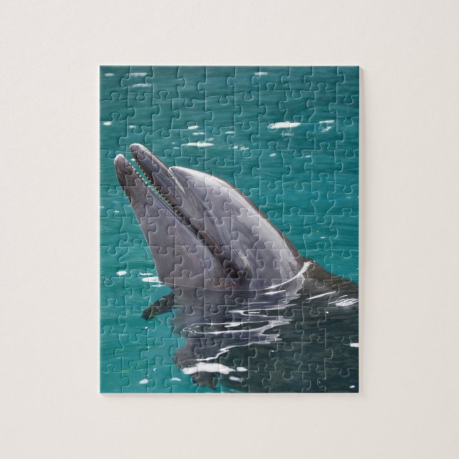 Delphin in Grün (Vertikal)