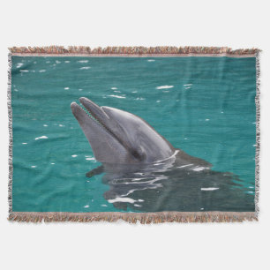 Delphin in Grün Decke