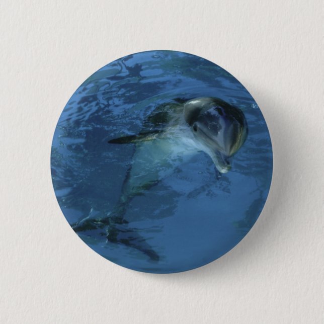 Delphin-Knopf Button (Vorderseite)