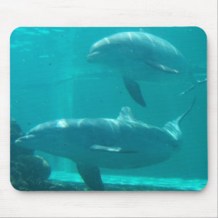 Delphin Mousepad