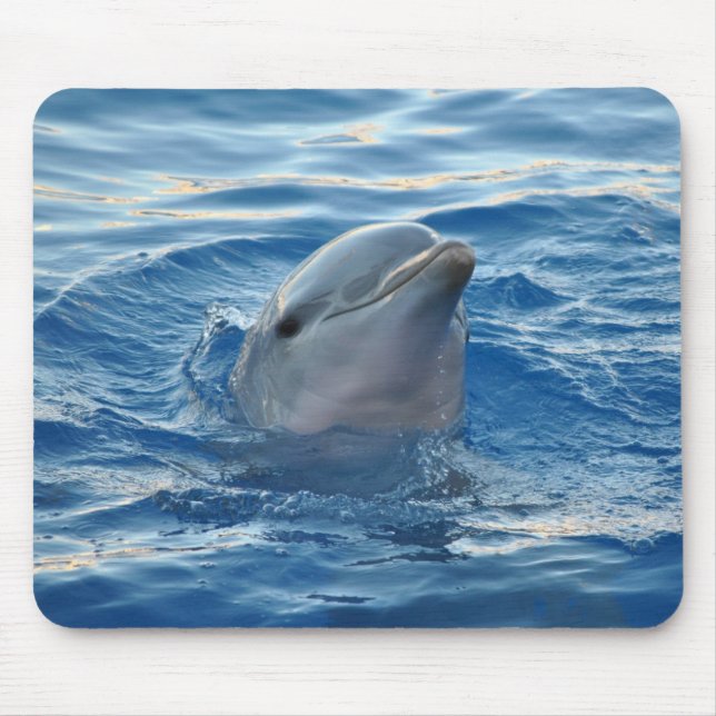 Delphin Mousepad (Vorne)