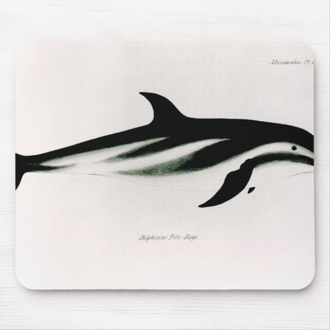 Delphin Mousepad (Vorne)
