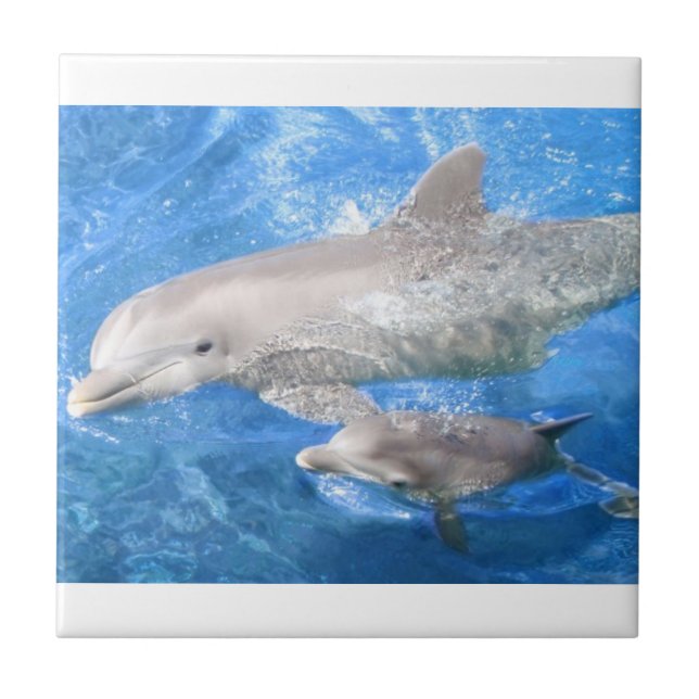 Delphin-Mutter-und Baby-Keramik-Fliese Fliese (Vorderseite)
