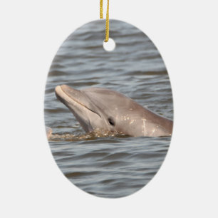 Delphin-Ornament auf 2 Seiten Keramik Ornament