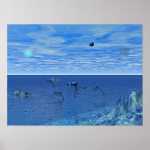 Delphin-Paradies Poster