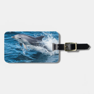 Delphin-Spritzen Gepäckanhänger