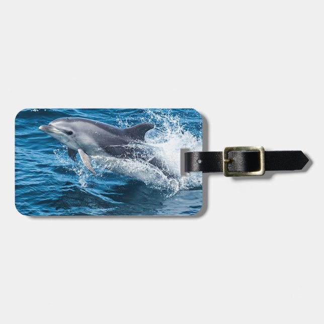 Delphin-Spritzen Gepäckanhänger (Vorderseite horizontal)