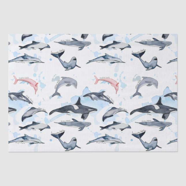Delphin-Themenabend Kinder Aquarell zeichnend Seidenpapier (Vorderseite)