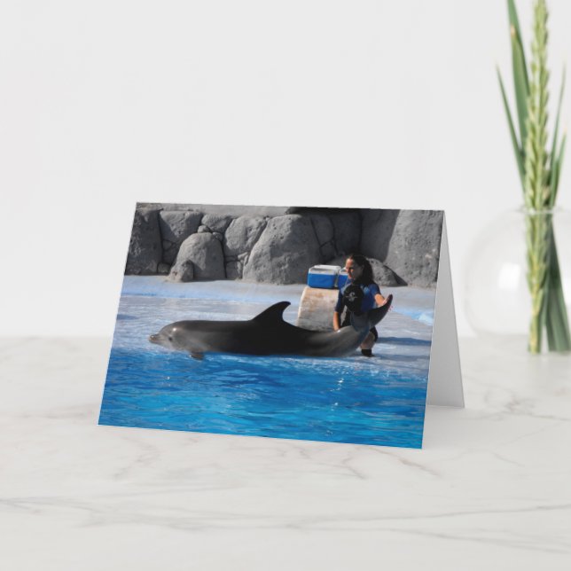 Delphin und Trainer in Spanien Feiertagskarte (Vorderseite)