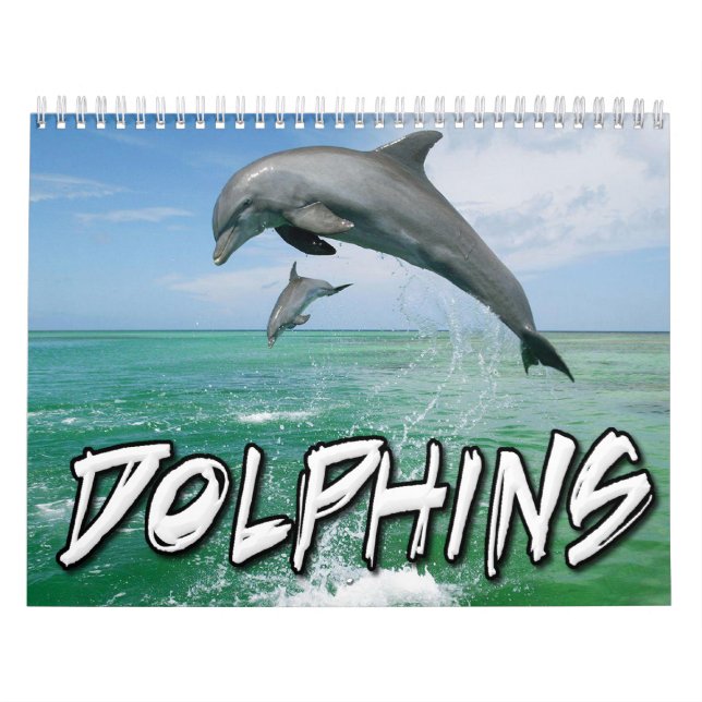 Delphin-Wandkalender Kalender (Titelbild)