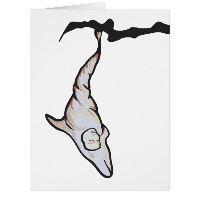 Delphincocoke (Vorderseite)