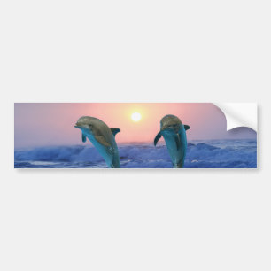 Delphine am Sonnenaufgang Autoaufkleber