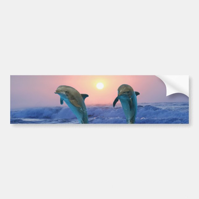 Delphine bei Sonnenaufgang Autoaufkleber (Vorne)