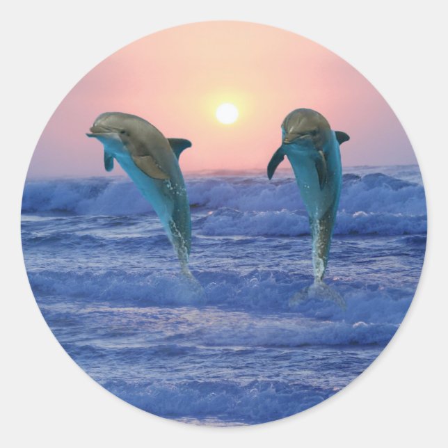 Delphine bei Sonnenaufgang Runder Aufkleber (Vorderseite)