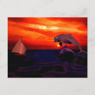 Delphine bei Sonnenuntergang Postkarte