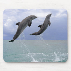 Delphine Delfin (groberes Tuemmler) Mousepad