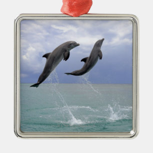 Delphine Delfin (groberes Tuemmler) Ornament Aus Metall