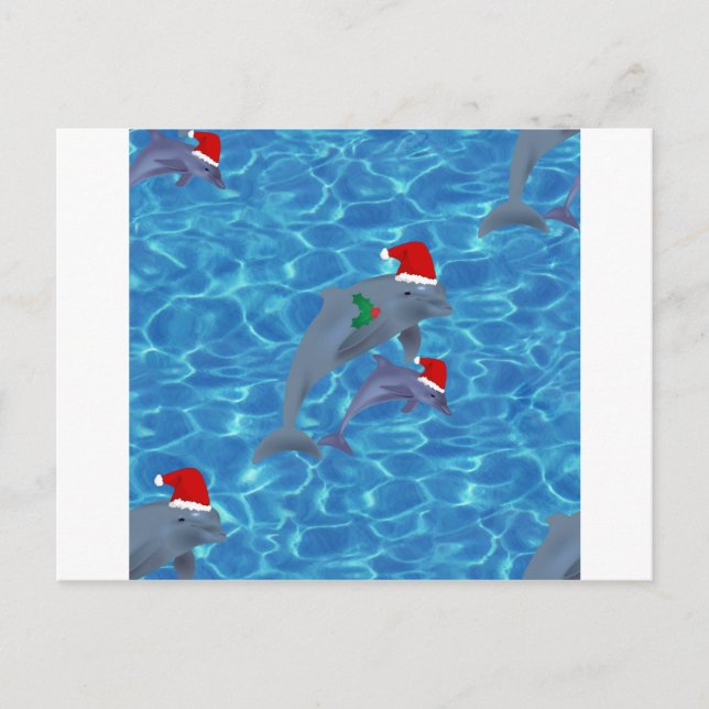 Delphine Feiertagspostkarte (Vorderseite)