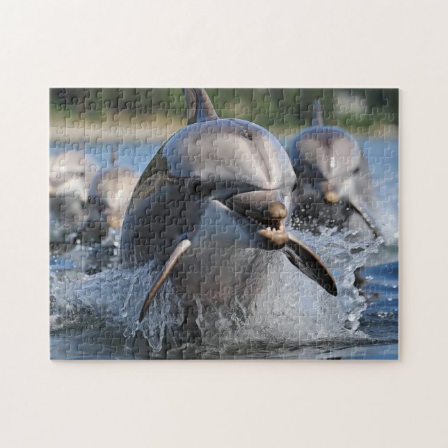 Delphine Game Puzzle (Horizontal)